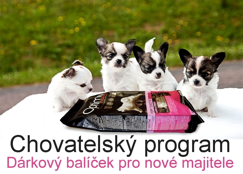 program pro chovatelské stanice psů a koček